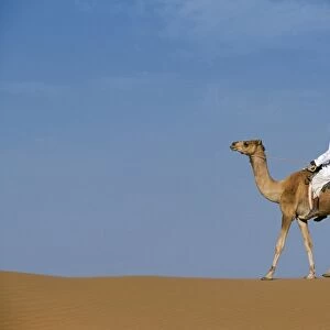 A Bedu rides his camel along the crest of a sand dune in the desert