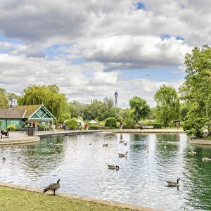 The Boating lake, Regents park, London, England, UK