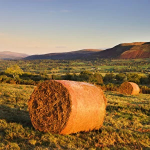 Bracken bales on Mynydd Illtud Common in the Brecon Beacons National Park, Powys, Wales