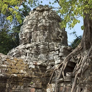 Cambodia, Temples of Angkor (UNESCO site), Ta Som Temple
