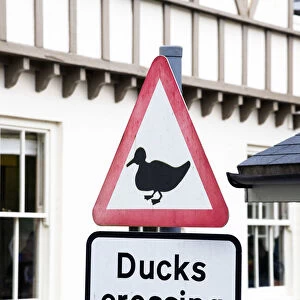 "Ducks crossing" road sign in the village of Symonds Yat, Herefordshire, UK