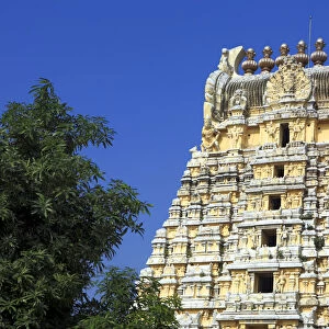 Ekambareswarar Temple (16th century), Kanchipuram, Tamil Nadu, India