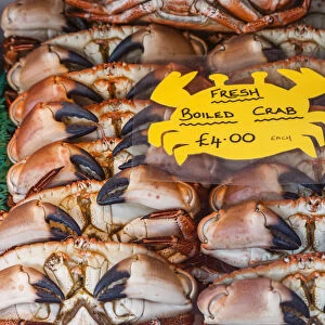England, Norfolk, Cromer, Fish Shop Display of Cromer Crabs