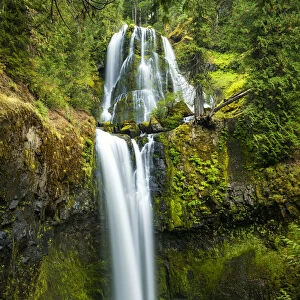 Falls Creek Falls, Gifford Pinchot National Forest, Washington, USA