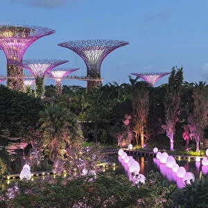 # Futuretogether, artwork from Teamlab Art, Super Trees, Gardens by the Bay