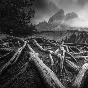 A gloomy autumn afternoon created the perfect scene for a black and white capture, with some old roots in the foregound and the Sass de Putia in the background. Passo delle Erbe, Dolomites, Italy