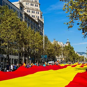 Huge spanish flag unrolled in Passeig de Gracia during the celebration of the Spain s