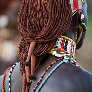 Kenya, Laikipia, Ol Malo. A Samburu warriors hair is ochred and tied up in braids at a dance at a