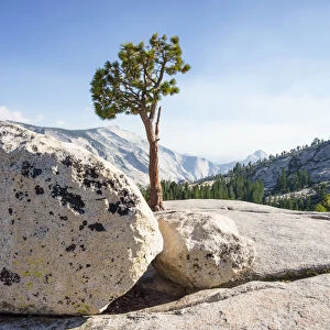 Olmsted Point located along the Tioga Road, Yosemite National Park, California, USA