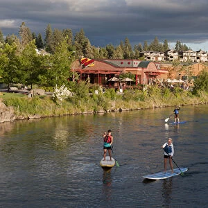 Paddle boarding on the Deschutes River, Old Mill district, Bend, Central Oregon, USA