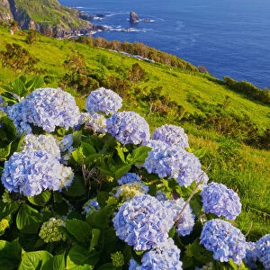 Portugal, Azores, Flores, View of the coast near Lajedo village