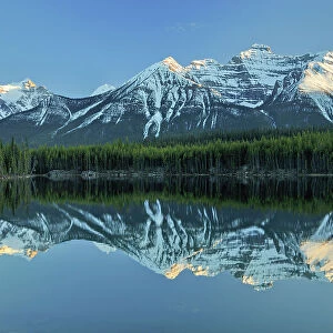 Reflection of Herbert Lake and the Bow Mountain Range, Banff National Park, Alberta, Canada