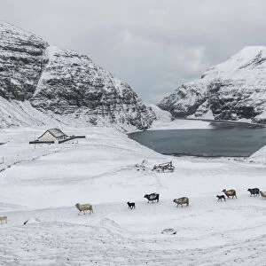 Saksun covered by snow in the mid of May. Streymoy, Faroe Islands