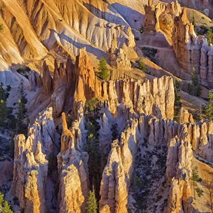 Sandstone formations, Bryce Canyon, Bryce Canyon National Park, Utah, USA