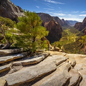 Scenic view of Zion canyon taken from Angels Landing, Zion National Park, Utah, USA