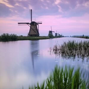 Sky is tinged with purple at dawn on the windmills reflected in the canal Kinderdijk