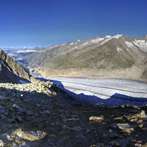 Switzerland, Valais, Jungfrau Region, Aletsch Glacier from Mt. Eggishorn (UNESCO site)