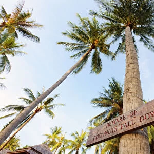 Thailand, Ko Samui, Chaweng beach, Sign on palm tree