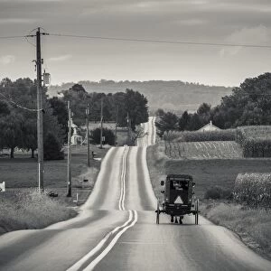 USA, Pennsylvania, Pennsylvania Dutch Country, Paradise, Amish horse and buggy