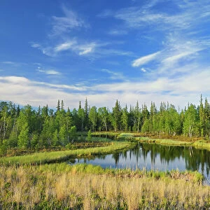 Wetland and boreal forest Near Yellowknife Northwest Territories, Canada