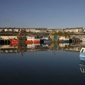 Fishing trawlers, Milford Haven Docks, Milford Haven, Pembrokeshire, Wales, UK, Europe