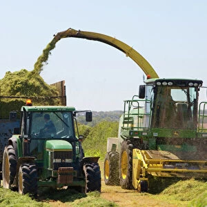 Harvesting grass for sileage in Cornwall, UK. Climate change has resulted in a longer growing season for grasses, resulting in greater crops for many