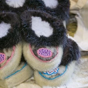 Traditional seal skin slippers in the tannery in Shishmaref a tiny island between alaska and siberia in the Chukchi sea is home to around 600 inuits or eskimos. As hunter gatherers their carbon footprint is tiny and as such are least responsible