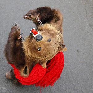 A dancer from Romanias northeastern region of Moldova performs the bear dance