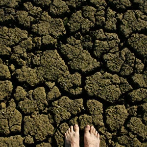 A parched pond is seen in Santiponce, southern Spain