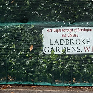 A road sign and hedge is covered by netting ahead of Notting Hill Carnival in London