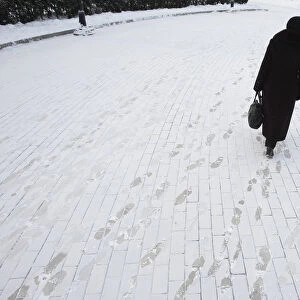 A woman walks through a park in an air temperature around minus 18 degree Celsius in