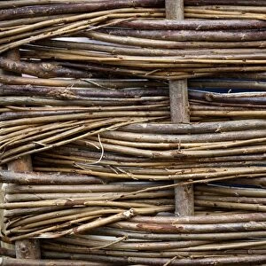 Hurdle made from traditional weaved willow branches, England, july