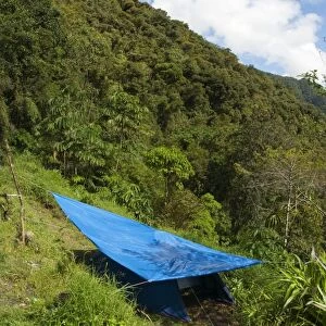 Tent with shade, biologists camping in montane rainforest habitat, Andes, Peru