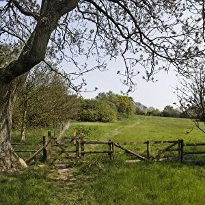 View of gateway at edge of grassland and woodland, Coombes Valley RSPB Reserve, Staffordshire, England, april