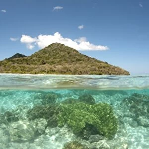 View of island and coral from above and below surface of water, Nyata Island, Barat Daya Islands, Lesser Sunda Islands