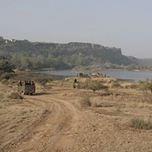 View of tourist vehicles at edge of lake habitat, Ranthambore N. P. Rajasthan, India, january