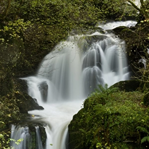 Waterfalls and rapids on river flowing through woodland, Farley Water (Hoar Oak Water), above Watersmeet, Exmoor N. P