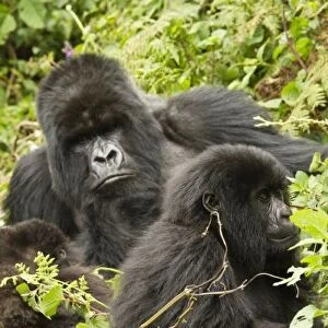 Africa, Rwanda