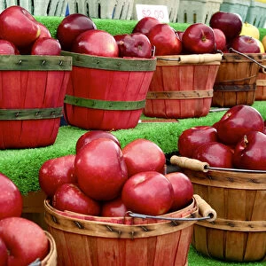 Apples being sold at a Farmers Market. Velarde, New Mexico