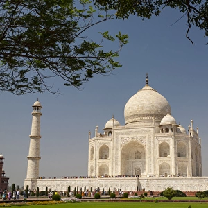 Asia, India. Taj Mahal with trees above as framing element