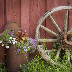 Canada, British Columbia, Cache Creek, Hat Creek Ranch. Vintage wagon wheel and flowers