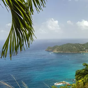 Caribbean, Tobago. Castara Bay ocean beach and jungle landscape