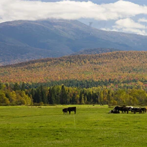 A dairy farm in Jefferson, New Hampshire. The Presidential Range is in the distance