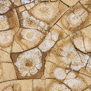 Dried, cracked earth and salt create the patterns on the flats of Death Valley National