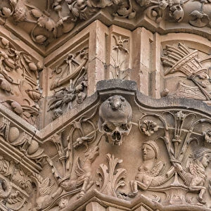 Europe, Spain, Salamanca, detail of relief sculpture on cathedral exterior
