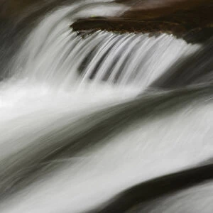 Flowing water, Middle Prong of the Little Pigeon River, Great Smoky Mountains National Park