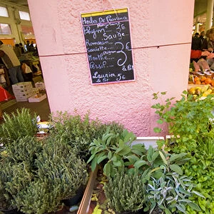France, Cannes, market of Forville, Selling herbs