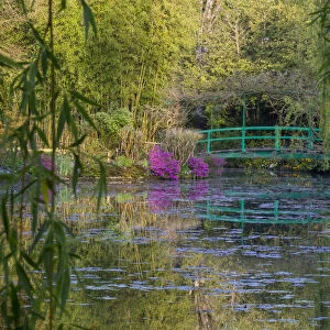 France, Giverny, Monets Garden. Sunrise view of iconic bridge and lily pond