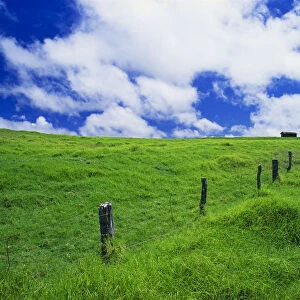 Green pasture and fence at Parker Ranch, The Big Island, Hawaii, USA