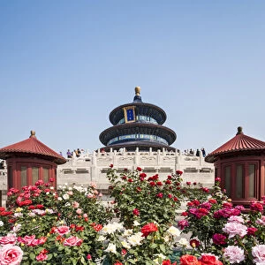 Hall of Prayer for Good Harvests in the Temple of Heaven (Altar of Heaven) Beijing
